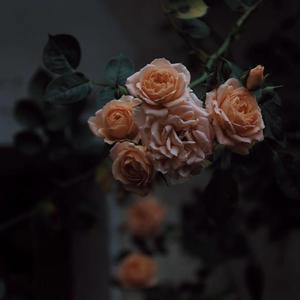 亚洲娱乐在线a无码
