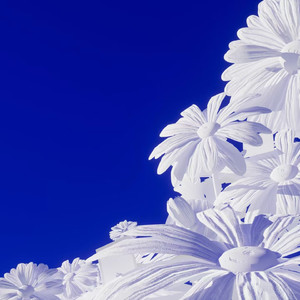 亚洲娱乐在线a无码
